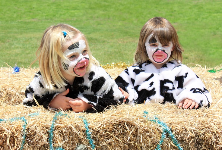 Face Painter: What Is It? and How to Become One?