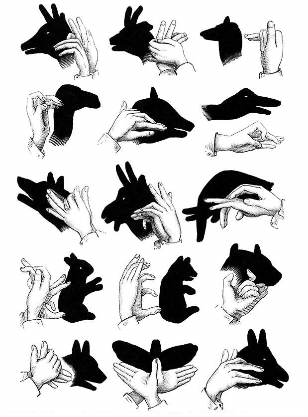 Hand shadow puppet chart